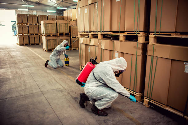 Best Wasp Removal Services  in Fairbank, IA
