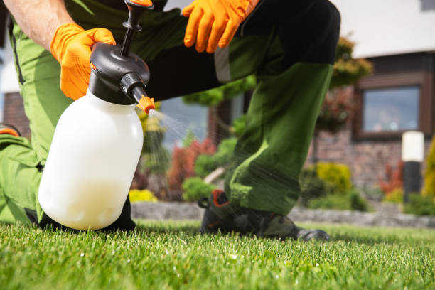 Best Best Pest Control Companies  in Fairbank, IA