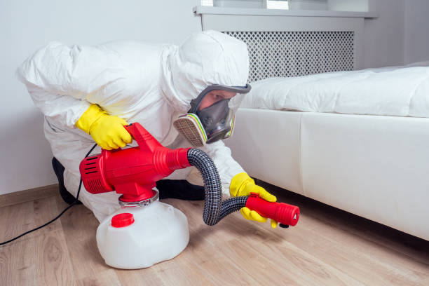 Best Commercial Pest Control Services  in Fairbank, IA