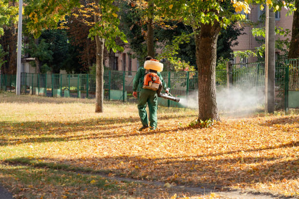 Best Mosquito Control Services  in Fairbank, IA
